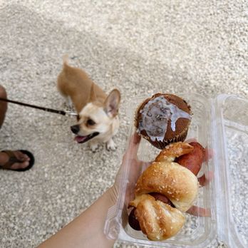 Mele Mele Bakery - Blueberry lavender muffin and sausage pastry - Bakeries Near Me - Waialua, Hawaii Mele Mele Bakery - Blueberry lavender muffin and sausage pastry - Bakeries Near Me - Waialua, Hawaii