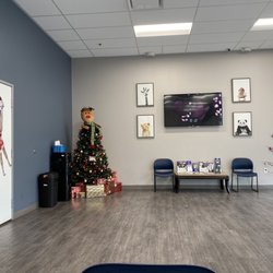 Procare Medical Group - Festive waiting area