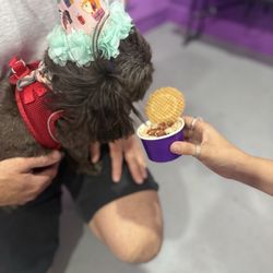 Bark 'N Berry - Peanut butter ice cream with a bacon topping