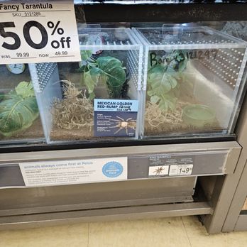 Petco - Spiders - Pet Training Near Me - Granada Hills, California Petco - Spiders - Pet Training Near Me - Granada Hills, California