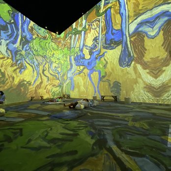 Van Gogh The Immersive Experience - Art Tours Near Me - Miami, Florida Van Gogh The Immersive Experience - Art Tours Near Me - Miami, Florida