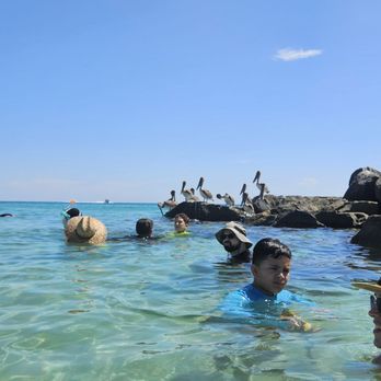 Haulover Park - Beaches Near Me - Miami, Florida