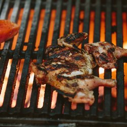 Bianca - Wood fire grill
