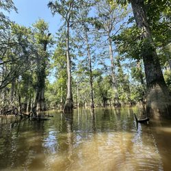 Honey Island Kayak Tours