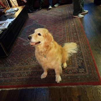 Carton Brewing - Pet friendly too! - Breweries Near Me - Atlantic Highlands, New Jersey Carton Brewing - Pet friendly too! - Breweries Near Me - Atlantic Highlands, New Jersey