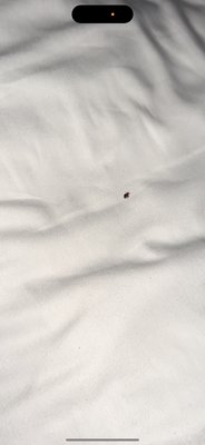 Bally's Atlantic City Hotel & Casino by null