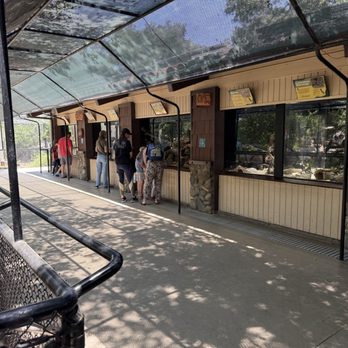 Orange County Zoo - Snakes - Zoos Near Me - Orange, California Orange County Zoo - Snakes - Zoos Near Me - Orange, California
