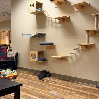 Planet Perk - City Center - Cat Room - Cafes Near Me - Oshkosh, Wisconsin Planet Perk - City Center - Cat Room - Cafes Near Me - Oshkosh, Wisconsin