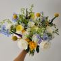 NOVAflowers