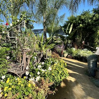 Escape Gardens - Nurseries & Gardening Near Me - Somis, California Escape Gardens - Nurseries & Gardening Near Me - Somis, California