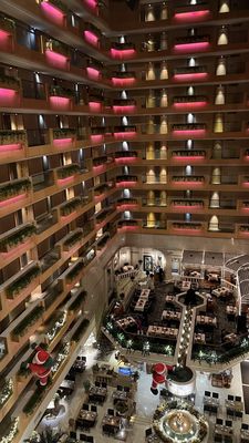 The Royal Garden by null