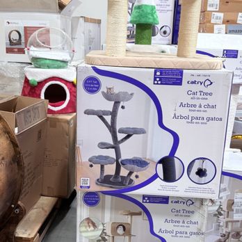 Catry International Group - Cat Tree Options - Pet Stores Near Me - Ontario, California Catry International Group - Cat Tree Options - Pet Stores Near Me - Ontario, California