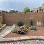 Photo of Desert Rose Landscape & Maintenance
