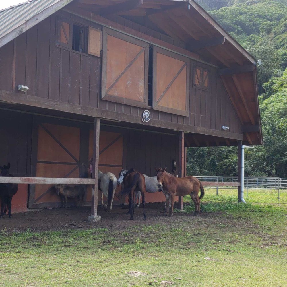 Tradewinds Ranch - The front of the barn, where our wedding ceremony will take place - Venues & Event Spaces Near Me - Hau'ula, Hawaii Tradewinds Ranch - The front of the barn, where our wedding ceremony will take place - Venues & Event Spaces Near Me - Hau'ula, Hawaii
