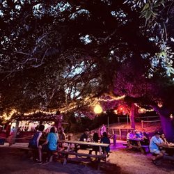 Swells'a Brewing Duck Dive Bar - Vibes.