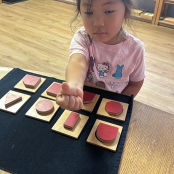 Prodigy Montessori - Cypress - Preschools Near Me - Cypress, California