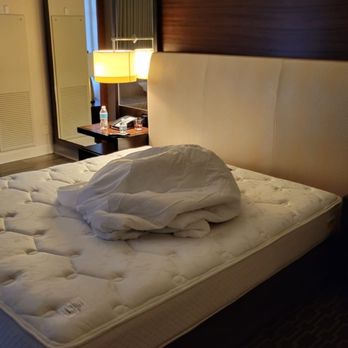 Hilton McLean Tysons Corner - Hotels Near Me - Mclean, Virginia Hilton McLean Tysons Corner - Hotels Near Me - Mclean, Virginia