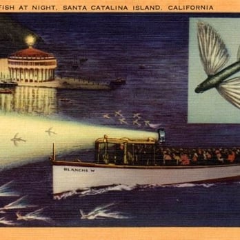 Flying Fish Voyage - Flying Fish Trip - Tours Near Me - Avalon, California Flying Fish Voyage - Flying Fish Trip - Tours Near Me - Avalon, California