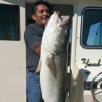 NYC Sportfishing Charters - Fishing Near Me - New York, New York NYC Sportfishing Charters - Fishing Near Me - New York, New York