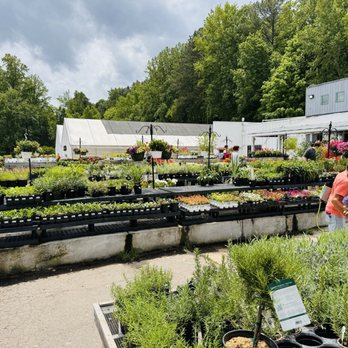 Atlantic Gardening Company - Nurseries & Gardening Near Me - Raleigh, North Carolina