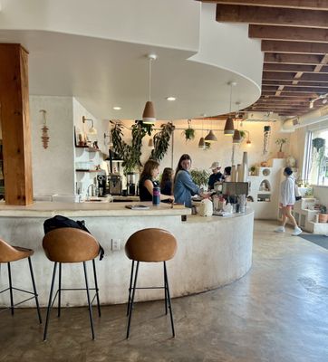 Palomino Coffee by null