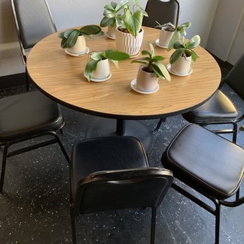 Vegan Sun - The cutest place - Vietnamese Near Me - Provo, Utah