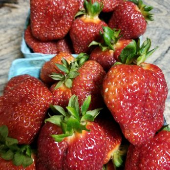 Gorman Produce Farm - a pile of strawberries - CSA Near Me - Laurel, Maryland Gorman Produce Farm - a pile of strawberries - CSA Near Me - Laurel, Maryland