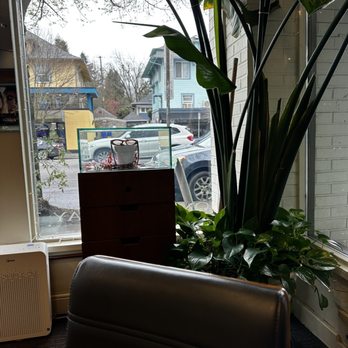 Eyes On Broadway - Optometrists Near Me - Portland, Oregon Eyes On Broadway - Optometrists Near Me - Portland, Oregon