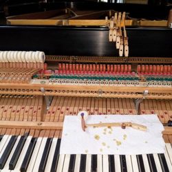 Long Hill Piano Tuning
