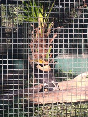 Shoushan Zoo by null