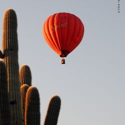 Roping the Wind Hot Air Balloon Company
