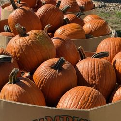 Hermans Produce