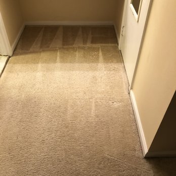 AlemanH Cleaning Services - Heavily stained carpet after - The photo depicts a beige carpeted floor with visible vacuum cleaner marks, indicating recent cleaning. A small section of tile flooring is visible near a white door with a pet door insert. The setting appears to be an indoor residential or commercial space, with a countertop visible at the top of the image. - Home Cleaning Near Me - Silver Spring, Maryland