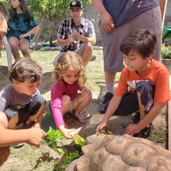 Raptor Events - Party & Event Planning Near Me