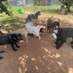 Little Ponderosa Pet Resort & Spa