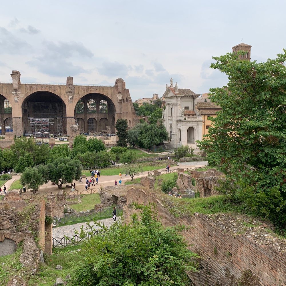 Colosseo - Local Flavor Near Me - Rome, RM