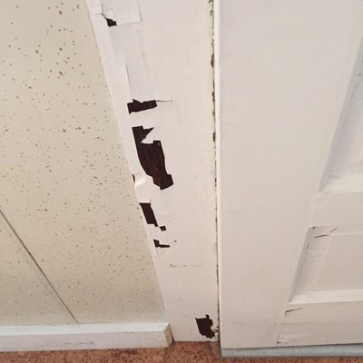 The Arnold House by null