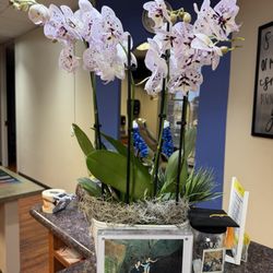 Bluebonnet Dental Advanced Cosmetic and Family Dentistry - Thank you from our patients