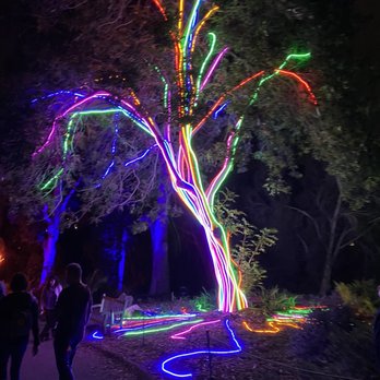Lightscape San Diego - Neon Tree - Botanical Gardens Near Me - Encinitas, California