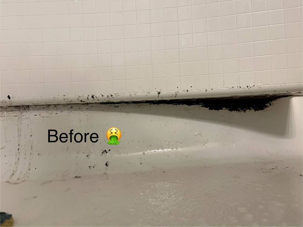 JAMIE’S IN DEPTH CLEANING SERVICES Austell, Home Cleaning