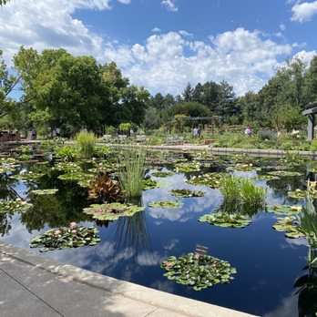 Denver Botanic Gardens - One of many lily ponds. - Botanical Gardens Near Me - Denver, Colorado