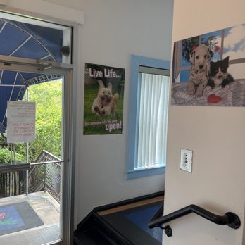 Malibu Pet Hotel - Entrance - Pet Training Near Me - Freeport, New York Malibu Pet Hotel - Entrance - Pet Training Near Me - Freeport, New York