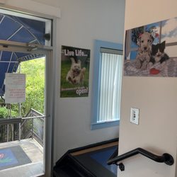 Malibu Pet Hotel - Entrance