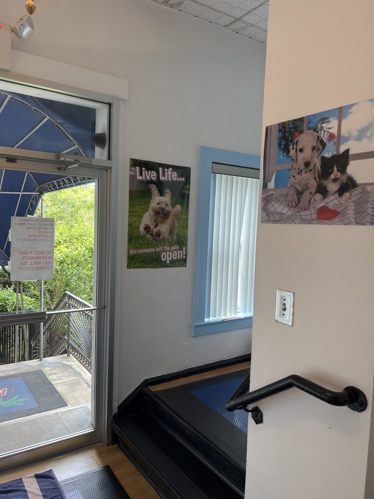 Malibu Pet Hotel - pet boarding facility in Freeport, NY