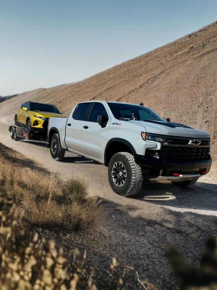 AVIAN Updated October 2024 Las Vegas, Nevada Couriers & Delivery