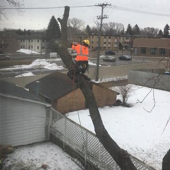 PerfectLTS - Tree Services Near Me - Burnsville, Minnesota PerfectLTS - Tree Services Near Me - Burnsville, Minnesota