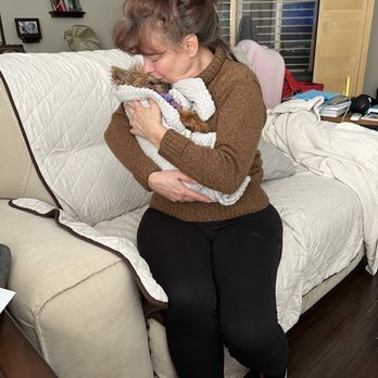 Faithful Friend - Sarah crossing to the Rainbow Bridge - Veterinarians Near Me