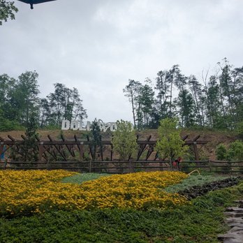 Dollywood - Amusement Parks Near Me - Pigeon Forge, Tennessee