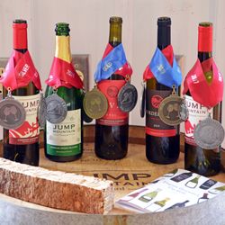Jump Mountain Vineyard