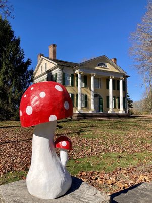 Florence Griswold Museum by null